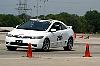 IMGP5662.jpg